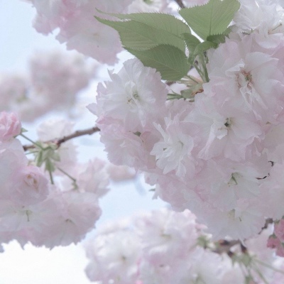 兽设天空场景设计兽圈社群